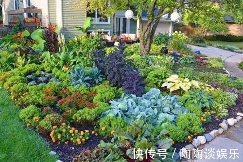 种菜|玩转庭院:家里有院子的话,可以建一个实用又好看的“菜园子”