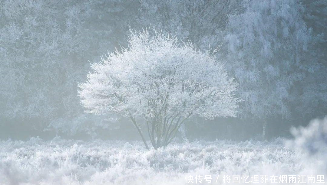 有一种智慧,叫学会转弯