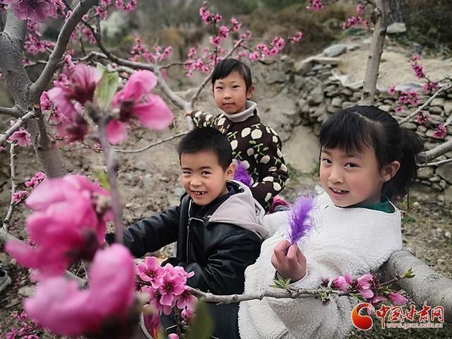 甘肃文县：人间三月芳菲始 踏青赏花正当时