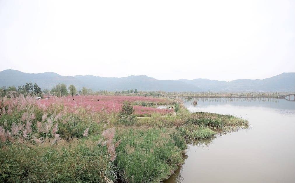 十八景|新晋热门旅游地高坪 秋季畅游风格迥异“十八景”