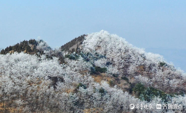 济南南山雨后奇观：九如山呈现大面积洁白雾凇