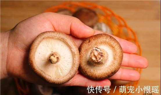 菜贩子|买香菇时，看见这几种建议不要买，菜贩子从来不吃，涨知识了?！