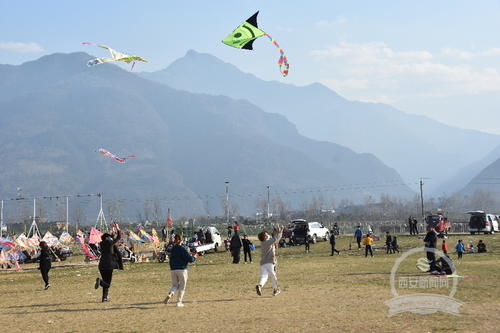 踏春赏梅 感受春的气息 鄠邑区多景区迎来赏春游客