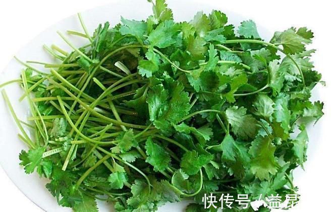 挥发油|你爱吃香菜吗?香菜的功效与作用你知道多少呢?快来看看吧!