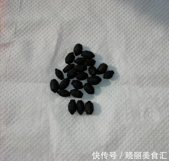 活了30年才知道它叫紫茉莉，花一开就该回家做饭了