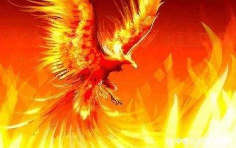 昊天锤|斗罗大陆：杀伤力极其恐怖的五大武魂，最后一个灭杀百万生灵