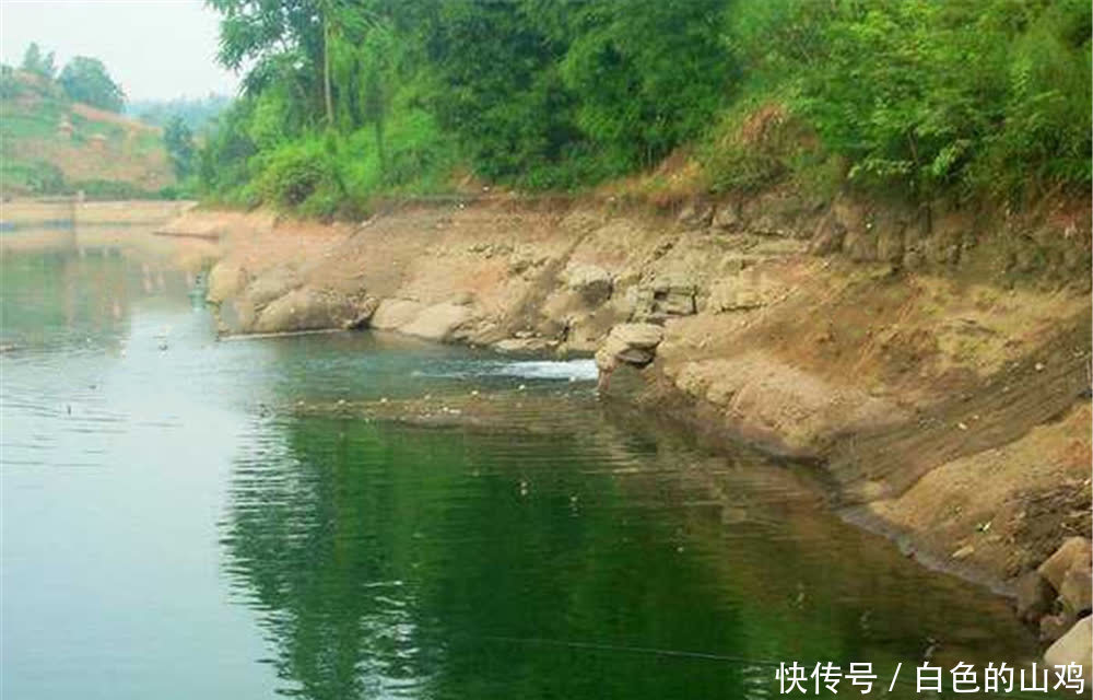 夏季|夏季钓草鱼，找这四种钓位，在这些位置下竿，大草鱼能连竿！