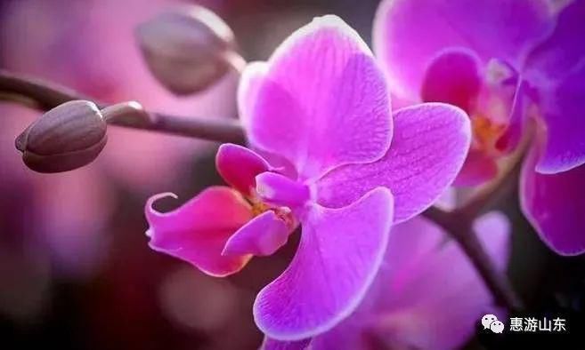 强身健体|两个养生黄金期,一个是睡前,一个竟是…99%的人都不知道!