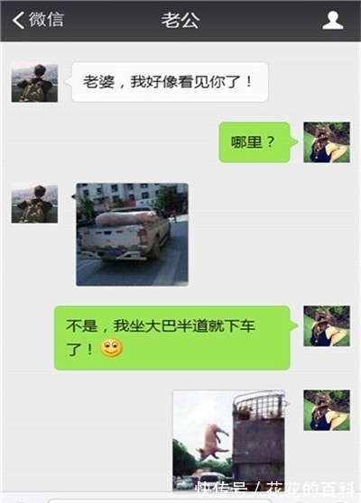 |搞笑段子：丈母娘电脑坏了，去帮她修，就看到桌面有个文件夹