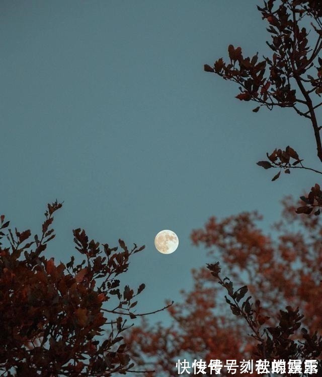 诗佛@王维写黄昏的一首诗,只有短短8句,却惊艳了世人一千多年