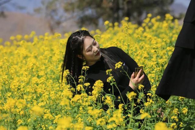 实拍，实拍，4月3日狼牙山万亩花海实拍来啦！