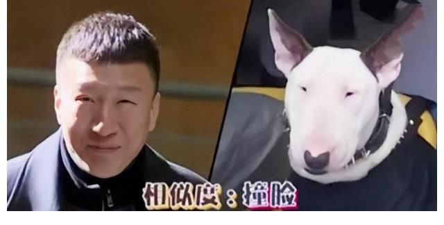 孙红雷|“嘴毒”名导张纪中：笑侃那英不红，孙红雷眼小，还说黄子韬松垮