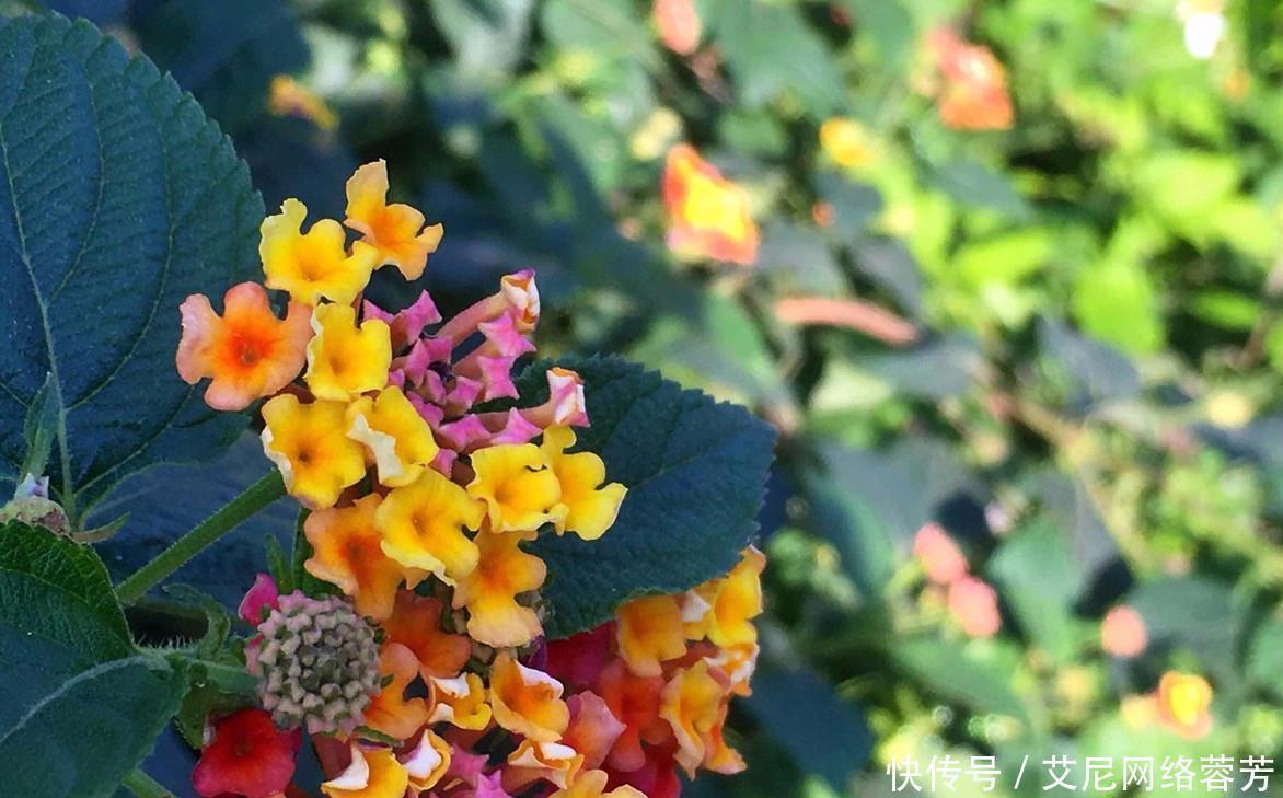 一首诗@唐朝最孤独的一首诗,只有22个字,千百年来无人超越