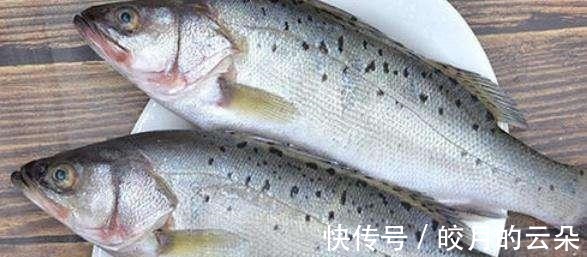 海产鱼|冬天吃鱼,会吃的人专挑这7种鱼,顺应时节营养高,贵点也值得!