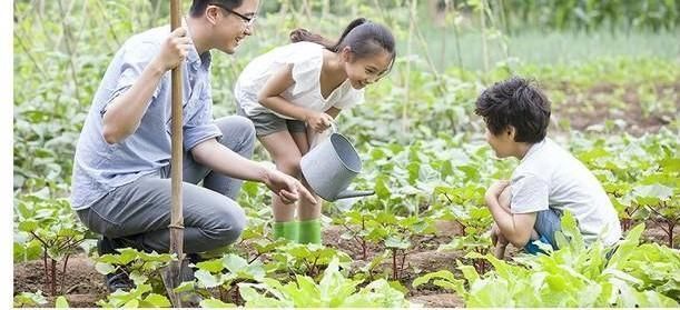 大脑|抓住3-6岁右脑开发黄金期,掌握4个技巧,给孩子一个超强大脑