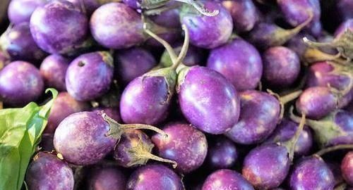 茄子|提个醒:茄子切不可和此物一起吃,吃了就是没事找事,早知早好