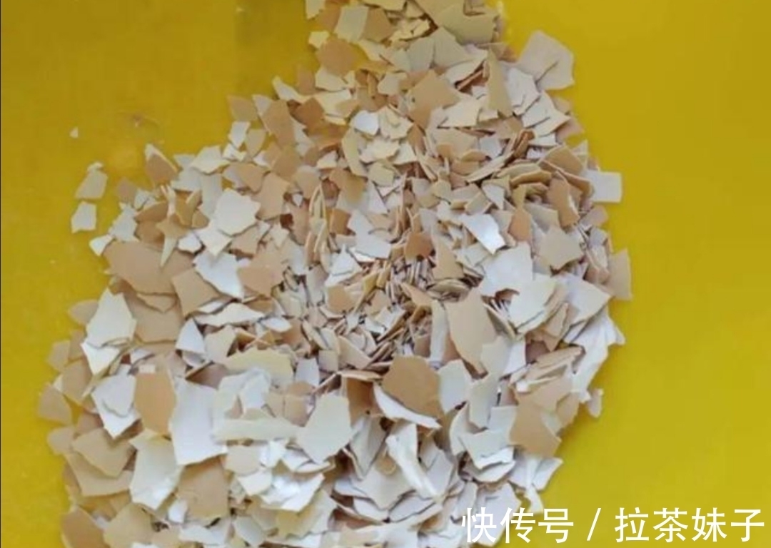 养花小技巧,花盆下面垫5种“东西”,可避免出现烂根黄叶