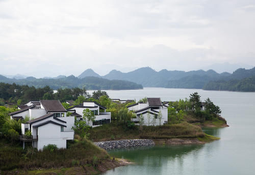 荒野|江南观鸟，不必去荒野间