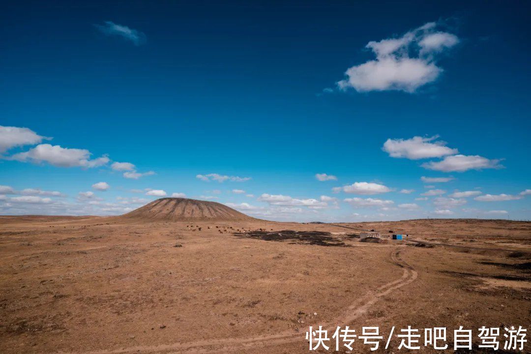 坐标|一条超惊艳的自驾路线，横跨京冀蒙宁4省，一路秋景无比赏心悦目