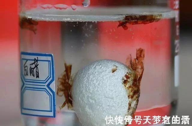 开窗|还在开窗通风除甲醛?专家教你3个除醛妙招,帮助你轻松除甲醛