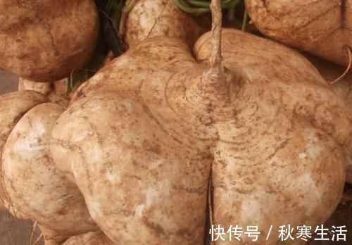 肠道清洗剂|便秘别急着吃药,常吃这几种食物,排毒通便,身体更健康