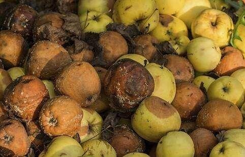 枳椇子|37岁女子腹泻不止，患上肝癌医生提醒：如厕3种异常，尽快查CT