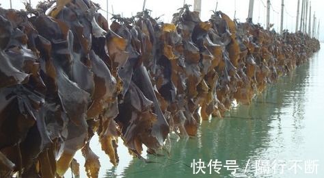 食物|女性过了35岁, 常吃3种食物，不贫血不发胖， 卵巢越来越好