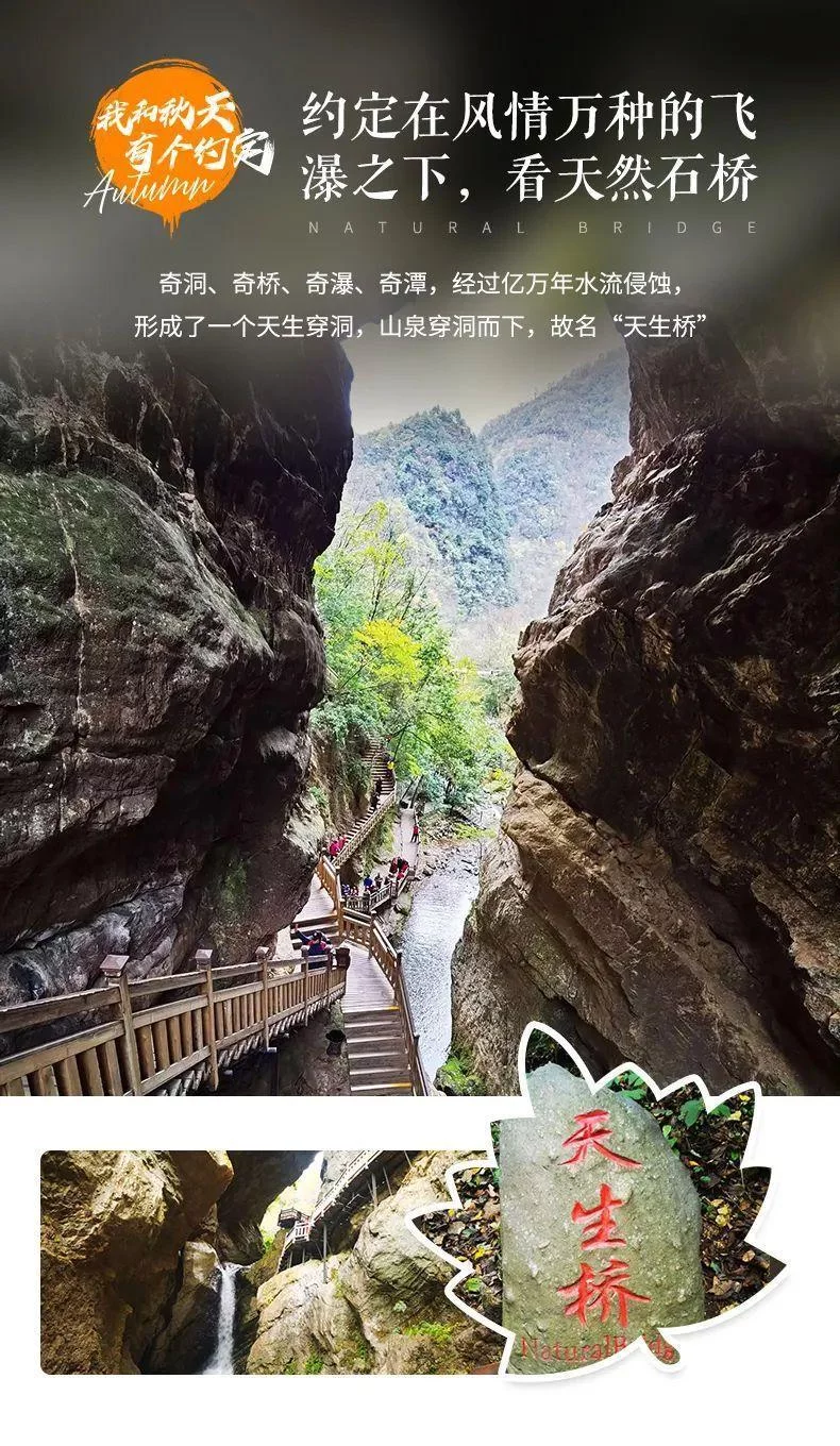 天下风物——《从国庆开始，神农架将迎来“华中屋脊”盛放的秋色！（二）》风光题照