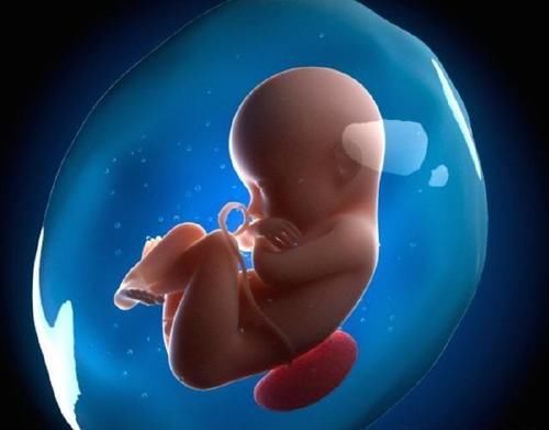 怀孕16周的胎儿大概多大？