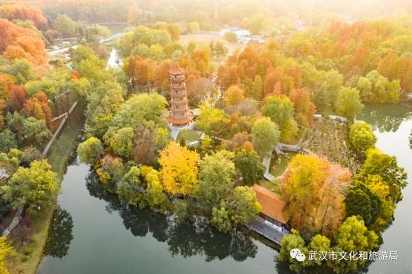 冬景|早安湖北｜武汉冬景，才不是你想的那样！