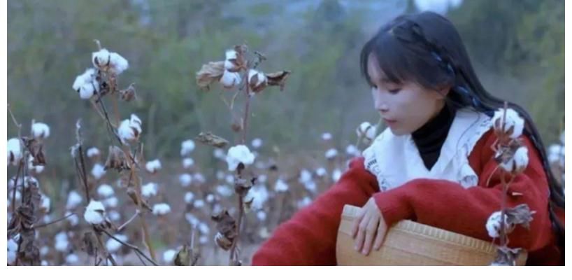 李子柒与《资本论》之间的矛盾,助理反驳其资本方