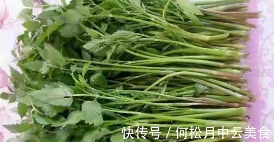 江南人|60种常见野菜,高清大图,收集全了真不容易!