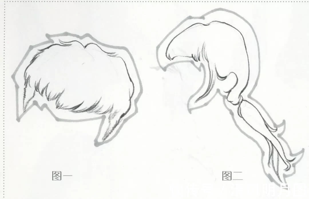 线描|干货分享：速写头发的五大刻画要点