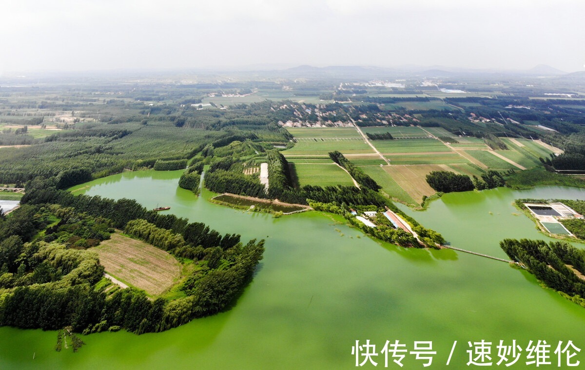 长滩|赤道附近保存比较完整的原始森林 开学季来这里写生 不虚此行