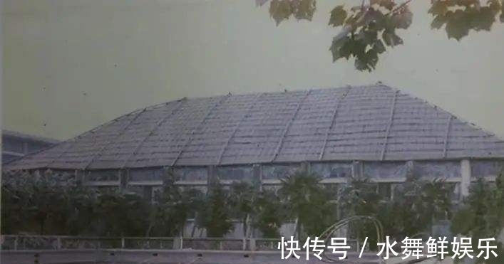 女排|不只摘桃,还要连根挖走!李珊代表中国女排登台讲话,球迷不买账