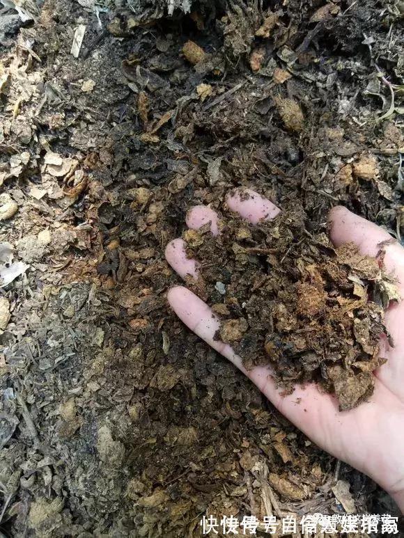 脱盐|这2种“壳”丢了太可惜,埋花土里3年不板结,种什么花都旺!