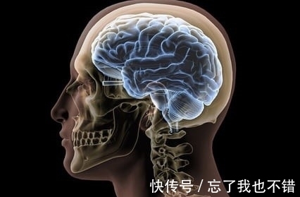 生产|为何动物的生产那么轻松，而人类分娩却疼得撕心裂肺？