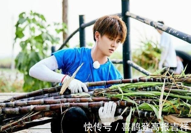 黄磊|黄磊问任嘉伦能给我免费客串拍戏吗任嘉伦幽默回答让人笑翻