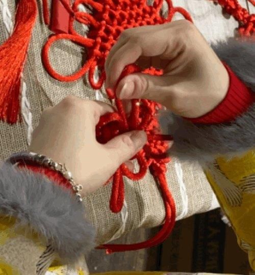 老年|抓住春节假期的尾巴 我们去江北望海花都赏花吧！