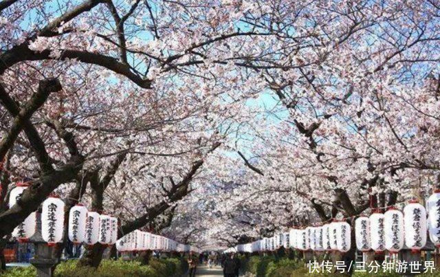 日本一座与众不同的寺庙，入寺不烧香，常年被鲜花包围