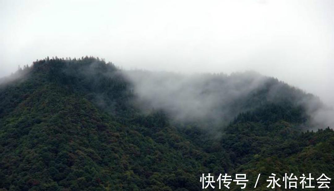 白云生@杜牧最唯美的一首诗,通篇美得犹如一幅画,怎一个美字了得