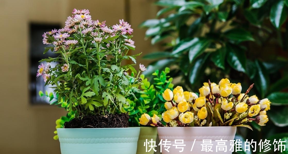 网上购物|喜欢网上购物的朋友，有5类东西别买！损失金钱，申诉还难追责
