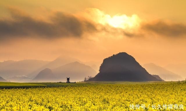 合肥|云南罗平迎来高光时刻，万亩油菜花海绽放，约吗？