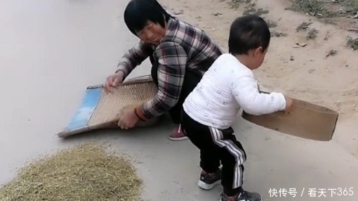 娃干|“勤劳奶奶”带娃干农活火了,萌娃“尽情摇摆”的模样超起劲