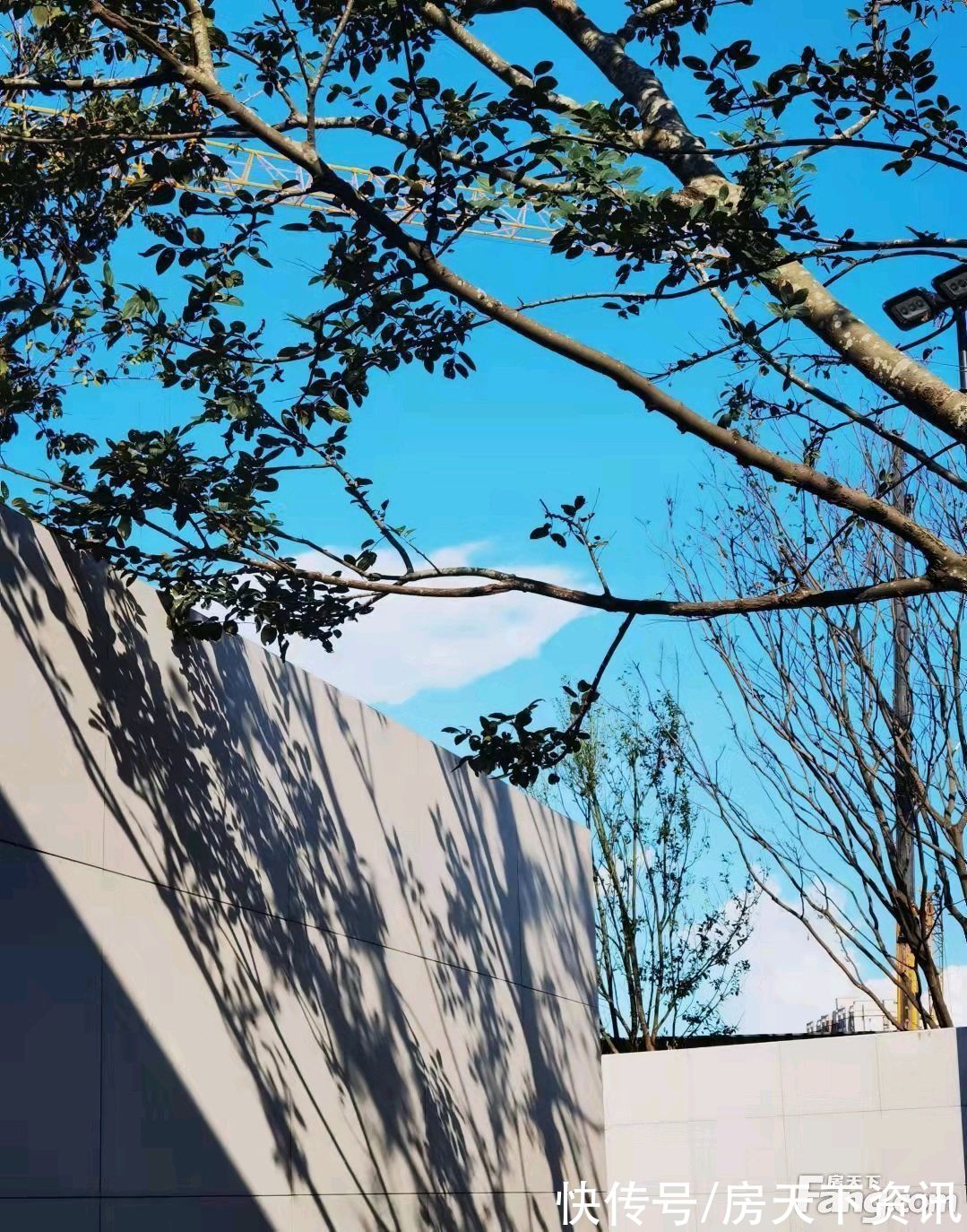 禅城|请查收从佛山禅城热门楼盘现场传来多张谍照(组图)