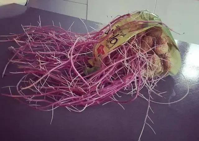 生物|土豆发芽有多恐怖!26张照片告诉你,它才是这个星球最神奇生物
