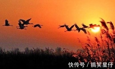 苍茫|作者曾被杜甫盛赞,一首《晚秋》苍茫辽阔,更显满眼秋色