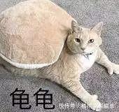 秀一|在某宝找了个买家定制,收到货后气到我当场去世