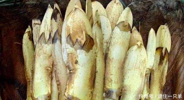 植物|这种植物开花就像鱼子酱一样，因为它天生地养，在农村也非常难得