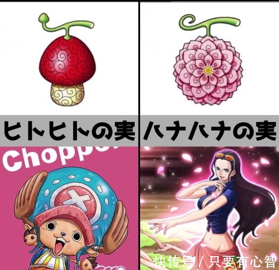 海贼王|《海贼王》恶魔果实，你最想拥有哪种？花花果实最漂亮